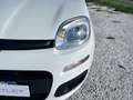 Fiat New Panda 1.2  Easy Белый - thumbnail 5