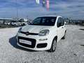 Fiat New Panda 1.2  Easy Белый - thumbnail 1