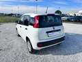 Fiat New Panda 1.2  Easy Белый - thumbnail 2