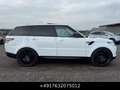 Land Rover Range Rover Sport SDV6 HSE Pan Stdhzg 22" AKTION Weiß - thumbnail 8