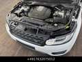 Land Rover Range Rover Sport SDV6 HSE Pan Stdhzg 22" AKTION Weiß - thumbnail 44