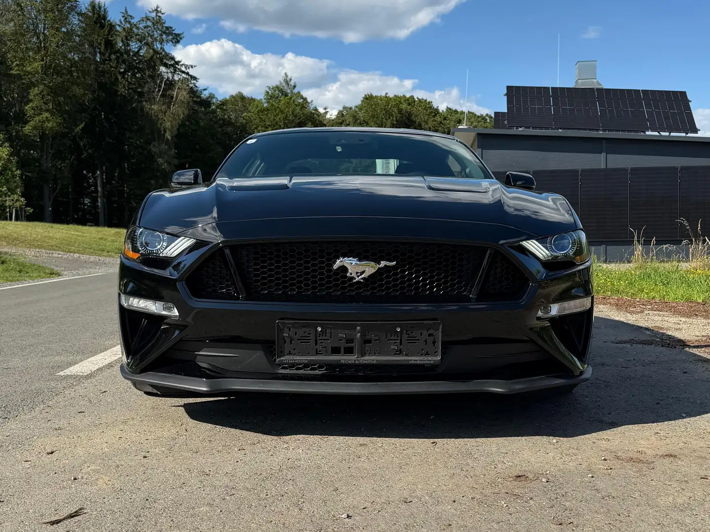 Ford Mustang Fastback GT Schwarz - 2