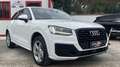 Audi Q2 Sport S Tronic 1.6 TDI 116cv Bianco - thumbnail 3
