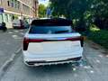 Hongqi E-HS9 Reduziert: President - Luxus 2 Tone Frontkofferra Weiß - thumbnail 4