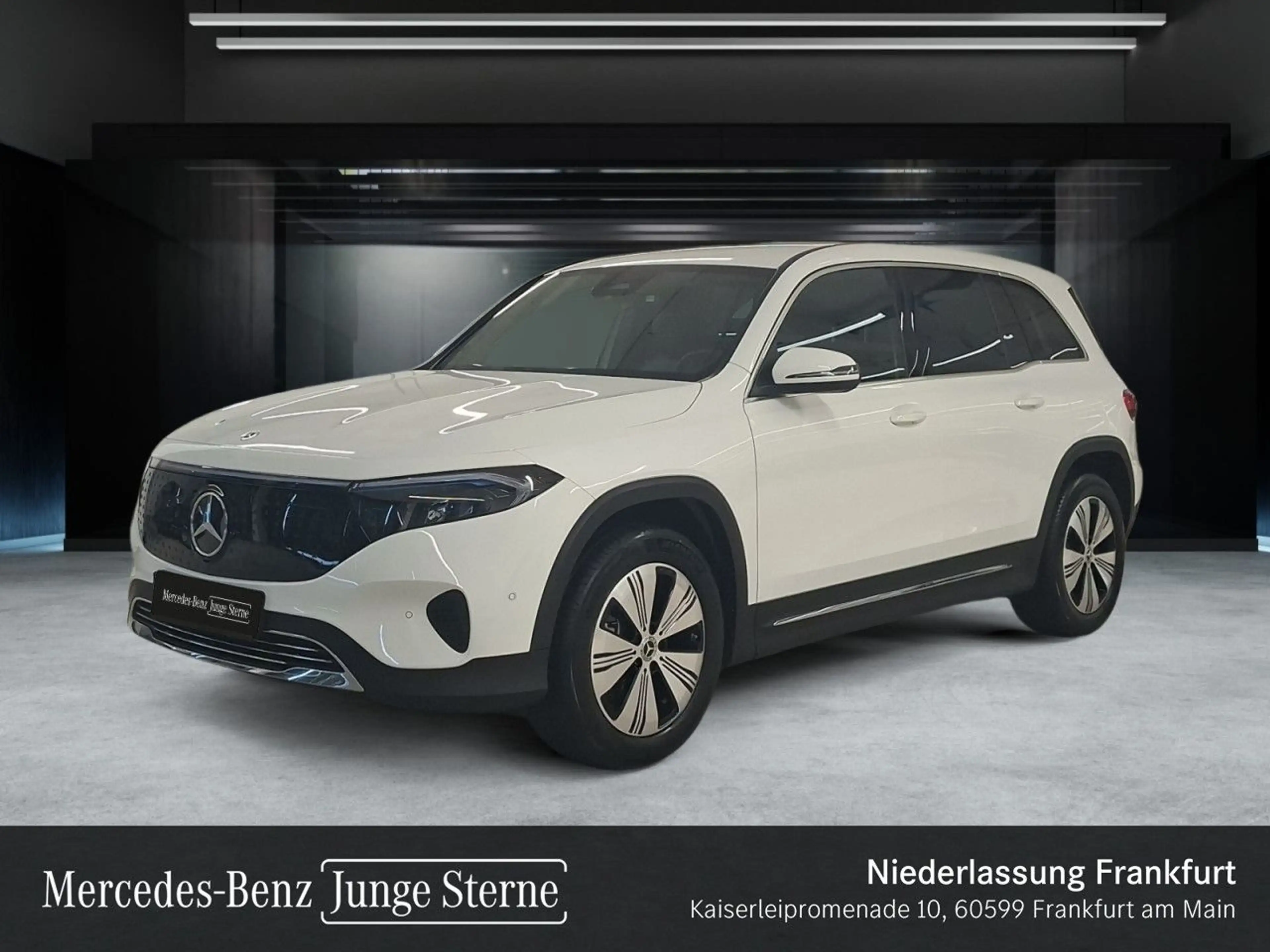 Mercedes-Benz EQB 250 PROG+ADVANCED+KAMERA+MEMORY+SPUR — photo 10