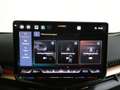 CUPRA Tavascan Endurance LED Navi ACC virtual App DAB R-Kamera Grau - thumbnail 30