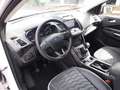 Ford Kuga EcoBoost Vignale Weiß - thumbnail 9