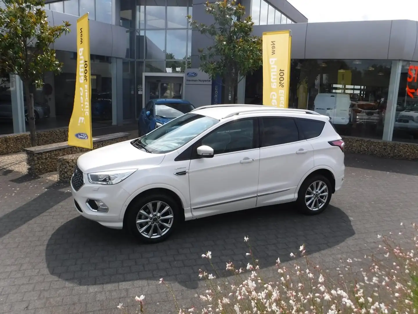 Ford Kuga EcoBoost Vignale Weiß - 1
