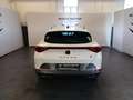 CUPRA Formentor 2.0 TSI 310cv 4Drive DSG VZ Bianco - thumbnail 5