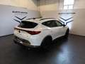 CUPRA Formentor 2.0 TSI 310cv 4Drive DSG VZ Bianco - thumbnail 6