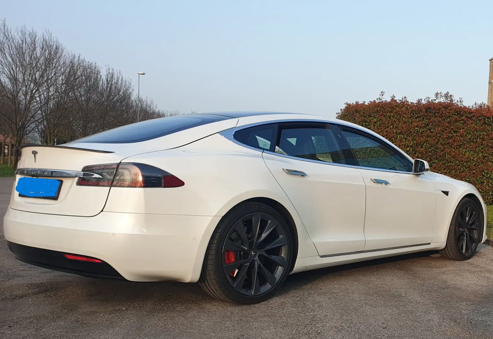 Tesla Model S Model S Performance Ludicrous integrale, 774 CV - 1