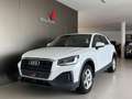 Audi Q2 30 TFSI Business "CARPLAY - SEDILI RISC" Bianco - thumbnail 2