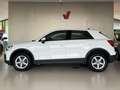 Audi Q2 30 TFSI Business "CARPLAY - SEDILI RISC" Bianco - thumbnail 1