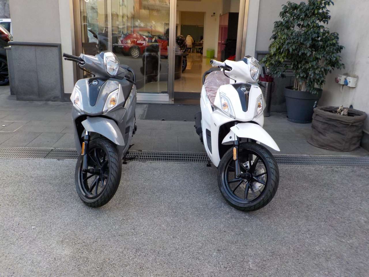 SYM Symphony 50 ST - Promo RCA+Tasso Zero