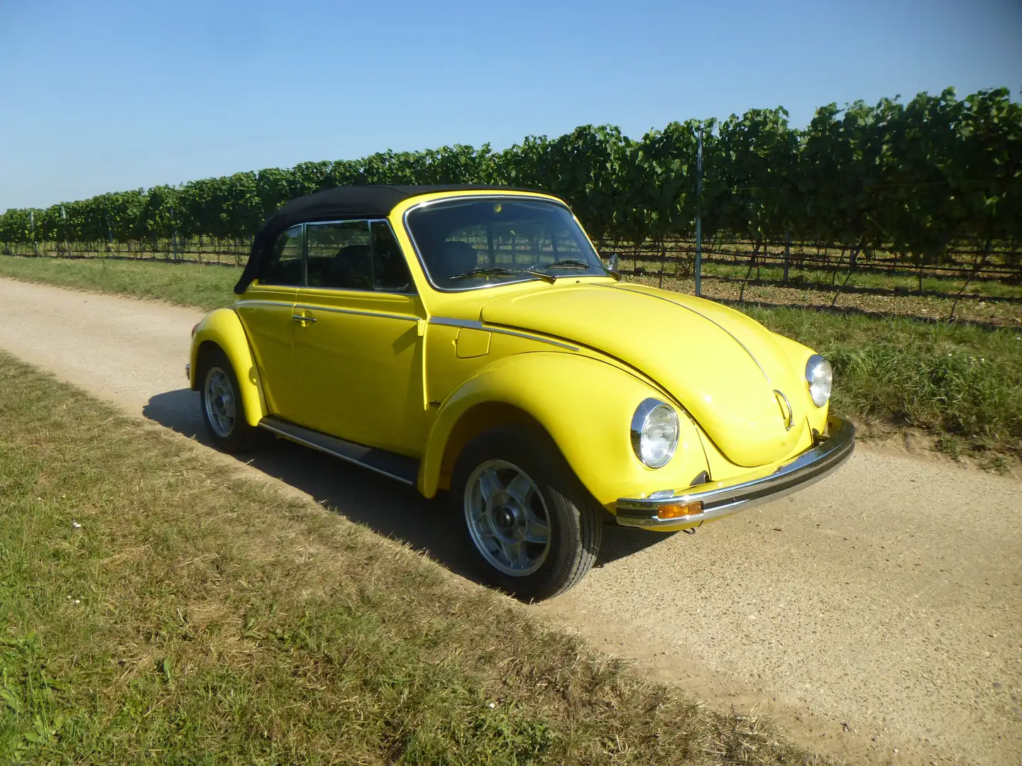 Volkswagen Käfer 1303 Cabriolet - 2