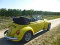 Volkswagen Käfer 1303  Cabriolet - thumbnail 7