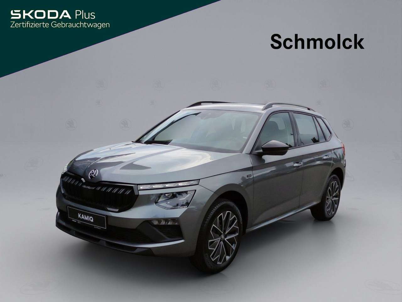 Skoda Kamiq 2025 — Tour 1.0 TSI DSG 116 PS NAVI LED ACC PDC