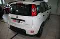 Fiat Panda 4 Posti-N-1 Bianco - thumbnail 5