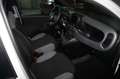 Fiat Panda 4 Posti-N-1 Bianco - thumbnail 7