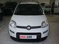 Fiat Panda 4 Posti-N-1 Bianco - thumbnail 3