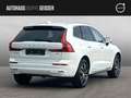 Volvo XC60 B4 Mild-Hybrid Inscription Automatik AHK SD Blanco - thumbnail 7