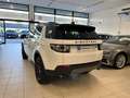 Land Rover Discovery Sport PURE 2.0 eD4 150 CV 2WD 6mt Bianco - thumbnail 4