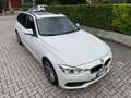 BMW 320 Serie 3 Touring 320D + doppio tetto panoramico Blanc - thumbnail 2