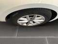 SEAT Leon 2,0 TDI Sportstourer DSG NAVI/RFK/LED/Sitzh Weiß - thumbnail 4