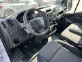 Renault Master DoKa Pritsche L2H1 3,5t*Klima*AHK*7-Sitzer* Weiß - thumbnail 14