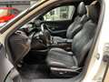 Peugeot 2008 Allure GT-Line/Pano/Leder/ACC/Kamera Weiß - thumbnail 11