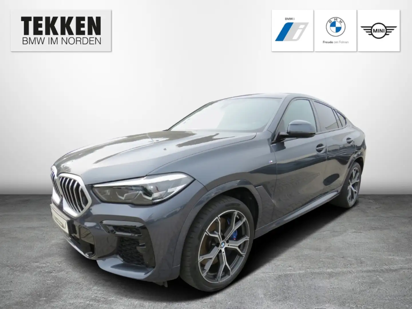 BMW X6 XDRIVE40D M-Sport LED RFK HIFI Komfortsitze Live C Gris - 1