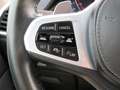 BMW X6 XDRIVE40D M-Sport LED RFK HIFI Komfortsitze Live C Gris - thumbnail 9