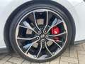 Hyundai i30 2.0 T-GDI N Performance PGD Navi LED 1. Hand Blanc - thumbnail 10