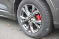 Ford Kuga Plug-In Hybrid ST-Line X+SHZ+LHZ+LMF+RFK+NAVI+AHK+ Grau - thumbnail 14