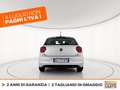 Volkswagen Polo 5p 1.0 tgi comfortline 90cv my19 Szürke - thumbnail 5