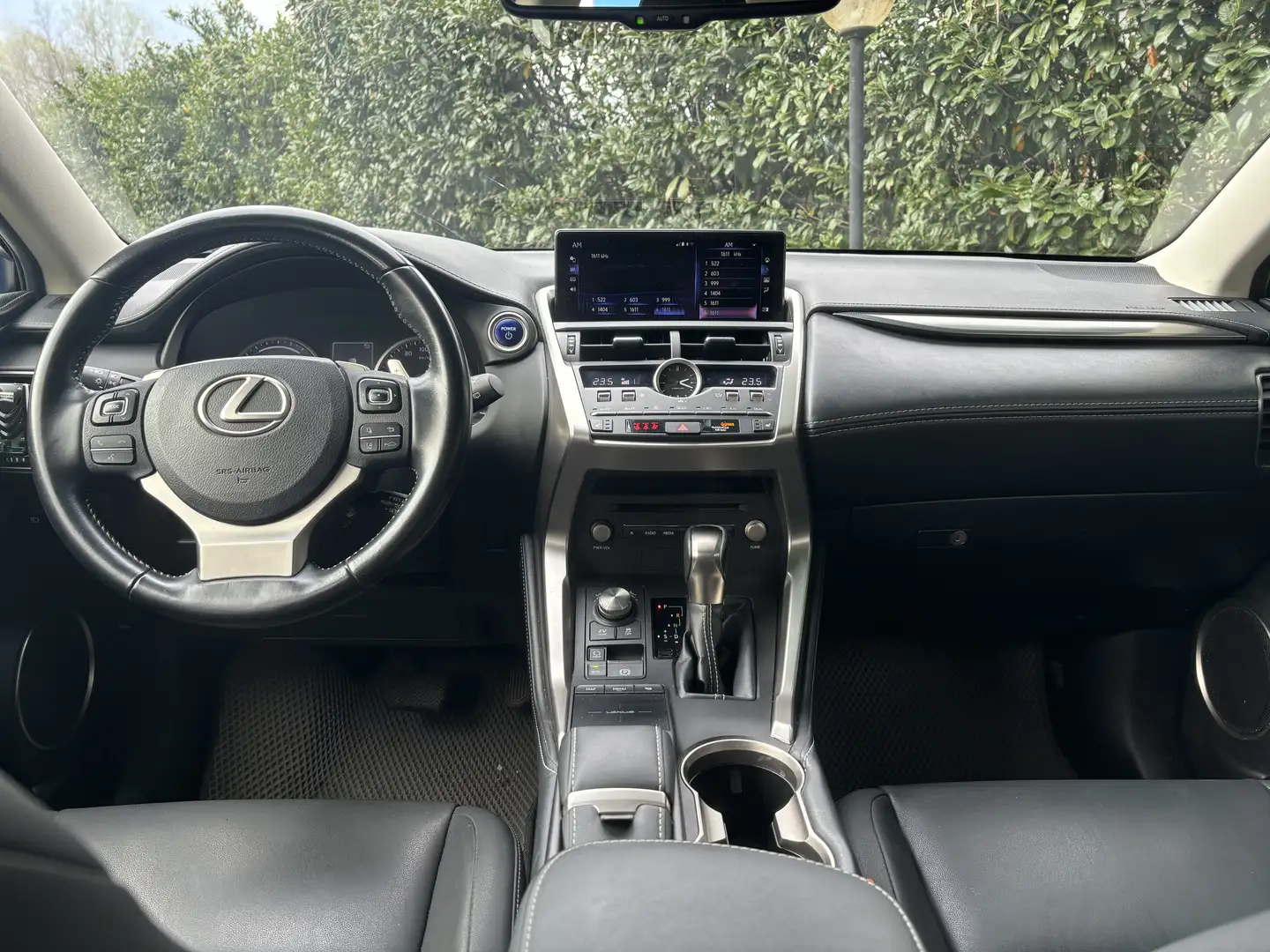 Lexus NX 300h Grau - 2