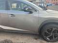 Lexus NX 300h Grau - thumbnail 10