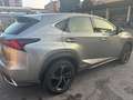 Lexus NX 300h Grau - thumbnail 9