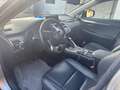 Lexus NX 300h Grau - thumbnail 7