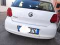 Volkswagen Polo polo 1.2  CONFORTLINE 3 cilindri Fehér - thumbnail 7