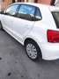 Volkswagen Polo polo 1.2  CONFORTLINE 3 cilindri Fehér - thumbnail 5
