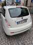 Lancia Ypsilon Ypsilon 1.3 mjt 16v Oro Bianco 90cv White - thumbnail 1