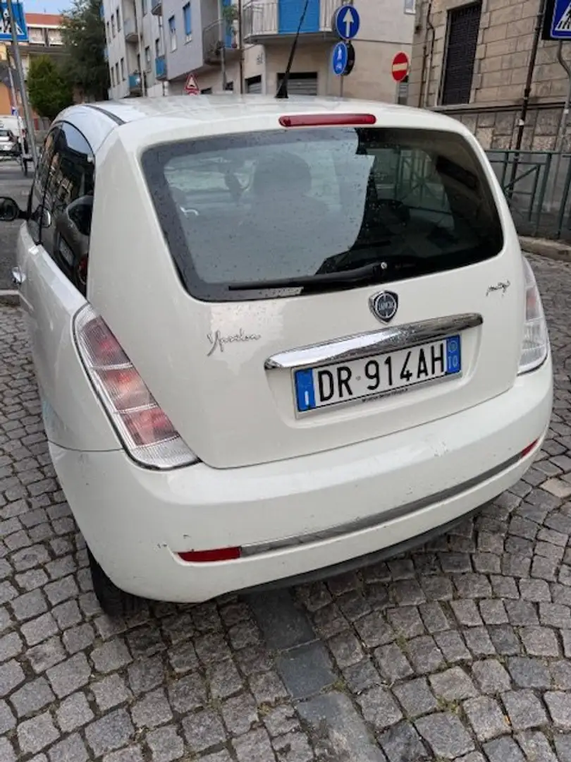Lancia Ypsilon Ypsilon 1.3 mjt 16v Oro Bianco 90cv White - 1