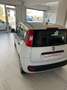 Fiat Panda Panda 1.2 Easy 69cv Bianco - thumbnail 4