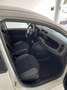 Fiat Panda Panda 1.2 Easy 69cv Bianco - thumbnail 7