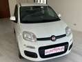 Fiat Panda Panda 1.2 Easy 69cv Bianco - thumbnail 2