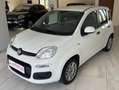 Fiat Panda Panda 1.2 Easy 69cv Bianco - thumbnail 3