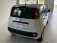 Fiat Panda Panda 1.2 Easy 69cv Bianco - thumbnail 5
