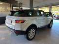 Land Rover Range Rover Evoque Range Rover Evoque I 2016 5p 2.0 ed4 SE 150cv Blanco - thumbnail 6