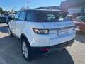 Land Rover Range Rover Evoque Range Rover Evoque I 2016 5p 2.0 ed4 SE 150cv Blanco - thumbnail 3